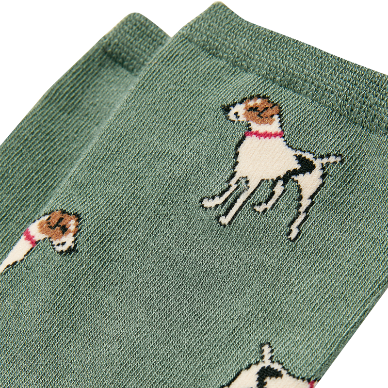 Joules Excellent Everyday Pair Of Socks - Green Dog-1
